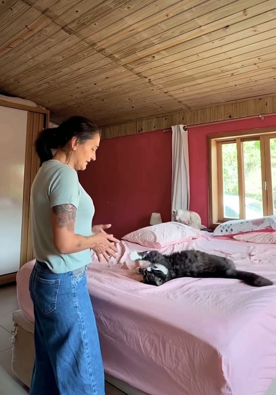 Maguinha no quarto, de pé ao lado da cama rosa, onde um gato preto e branco está deitado